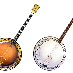 Banjo-Mandolin Repair